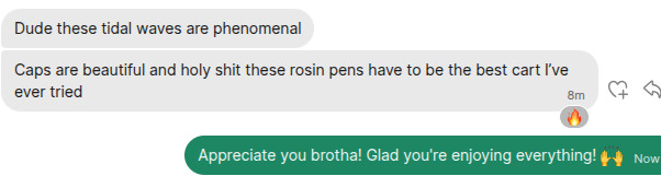 Customer Review